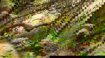 13 Day Northern Europe (MSC Cruises)