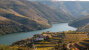 Régua