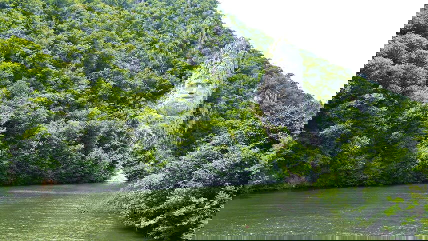 Lower Danube Discovery