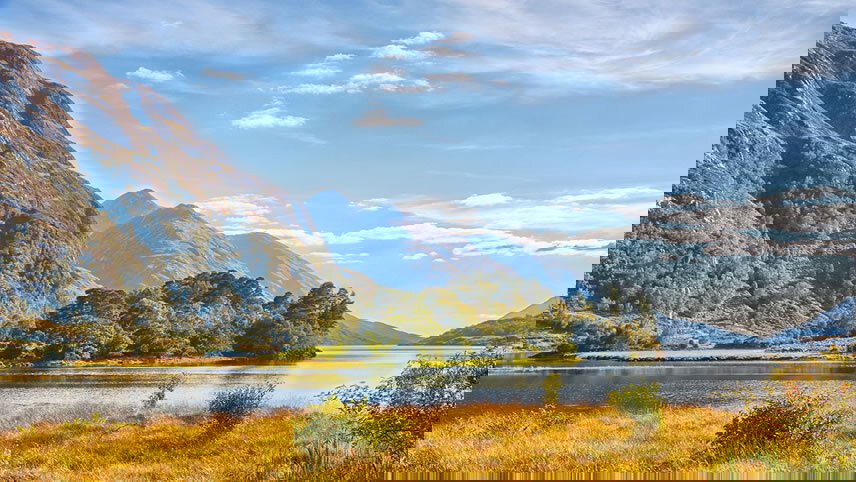 Hot Tam!: Scotland By Design