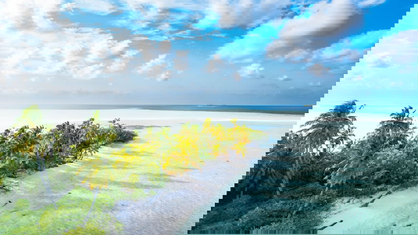 Safari, The Seychelles and Indian Ocean