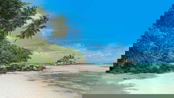 56 Day MSC World Cruise (MSC Cruises)