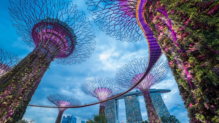 Singapore's City Within A Garden & Singapore Garden Festival