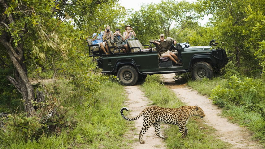 On Safari in Kruger National Park