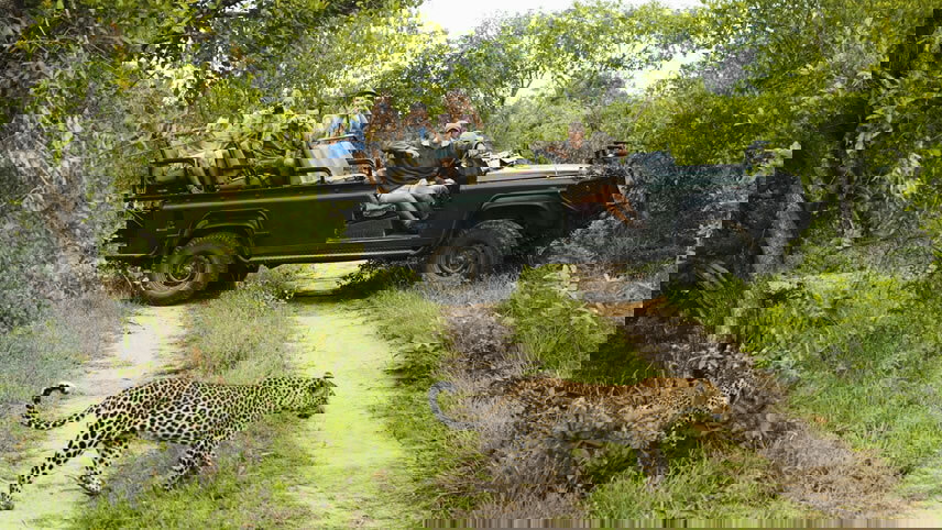 Spectacular South Africa with Victoria Falls