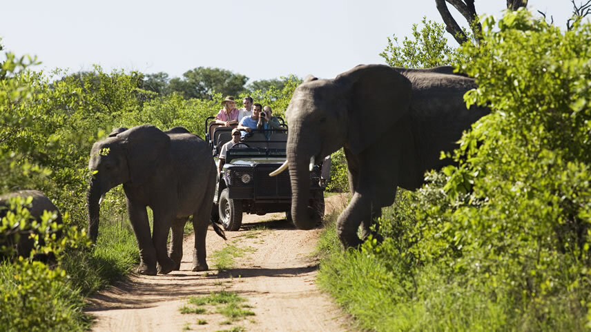 Kruger Lodge Experience