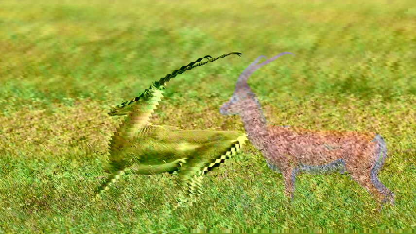 Journeys: Cape Town, Kruger & Namibia