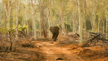 15 Day Kruger to Cape Explored (Wendy Wu)