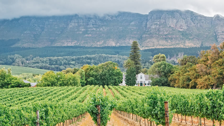 South Africa: from Wine to Wild