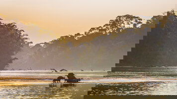 Amazon Cruises Cruises