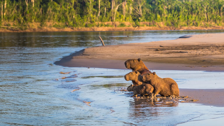 Independent Galapagos Cruise Aboard the Galápagos Legend with Ecuador's Amazon