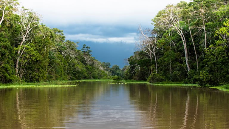 South America Landscapes with Brazilian Amazon