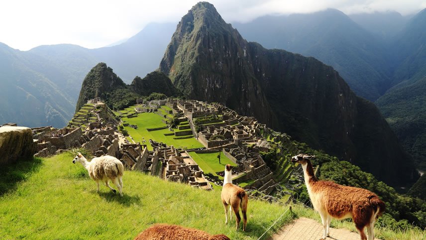 Peru Splendors with Peru Amazon