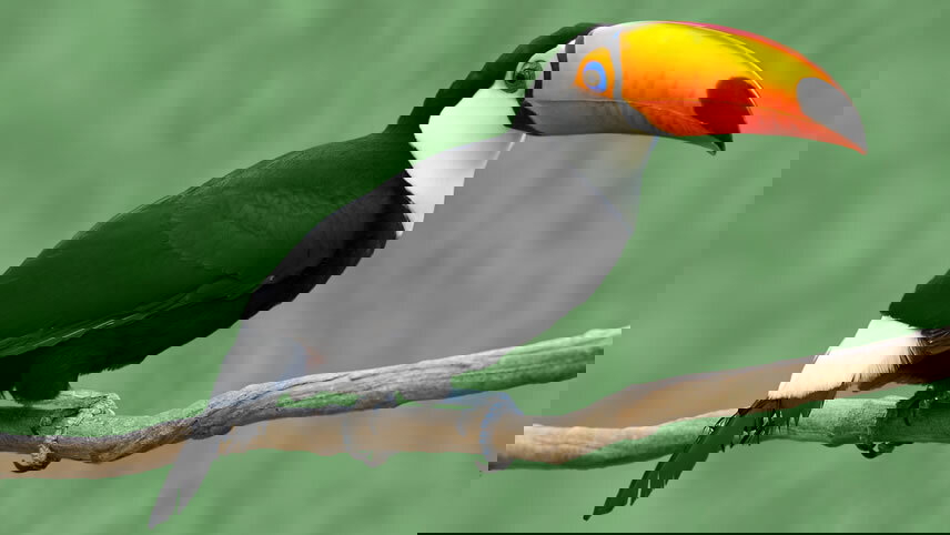 The Best of Brazil & Argentina