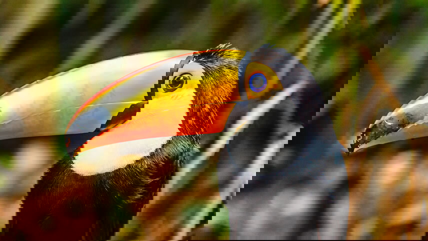 Amazon to the Andes (Inca Trail)