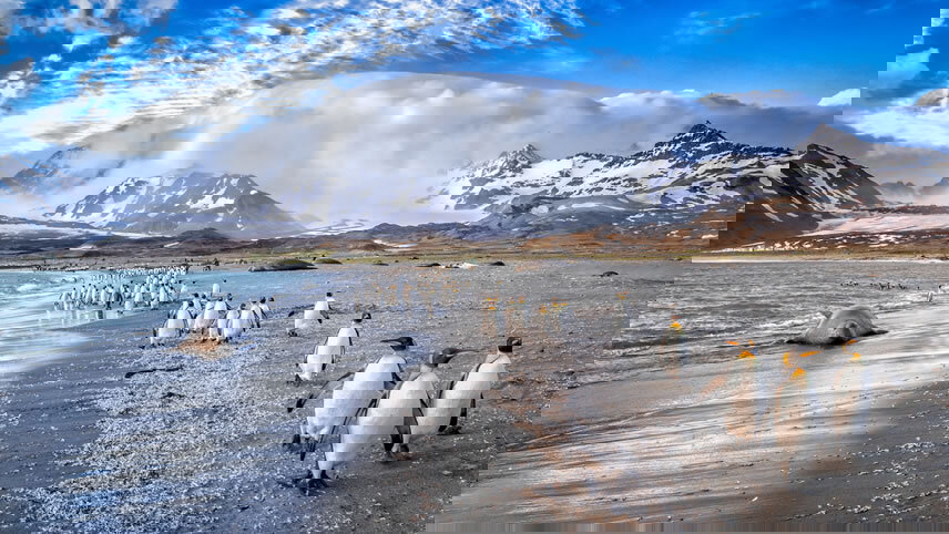 South Georgia Island