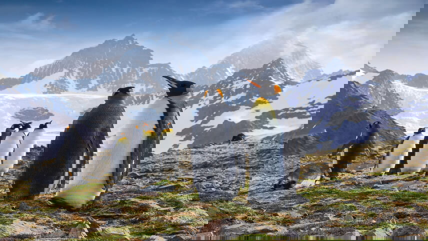 Puerto Williams to Buenos Aires