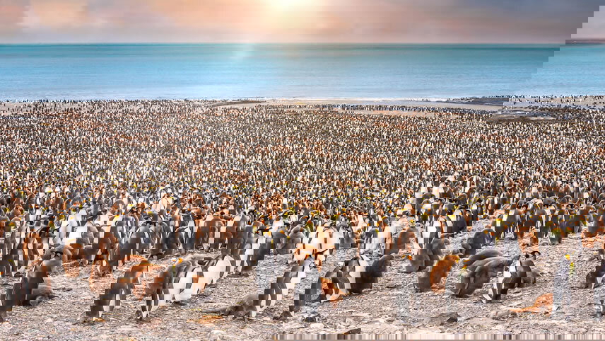 South Georgia Island