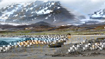23 Day Life Returns - Springtime Expedition To Antarctica (HX Expeditions)
