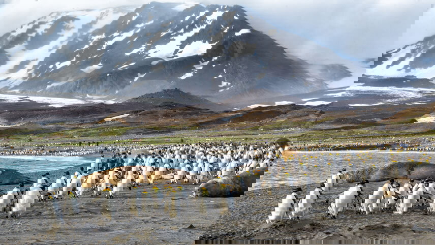 Journey to Austral Lands and Valdes Peninsula