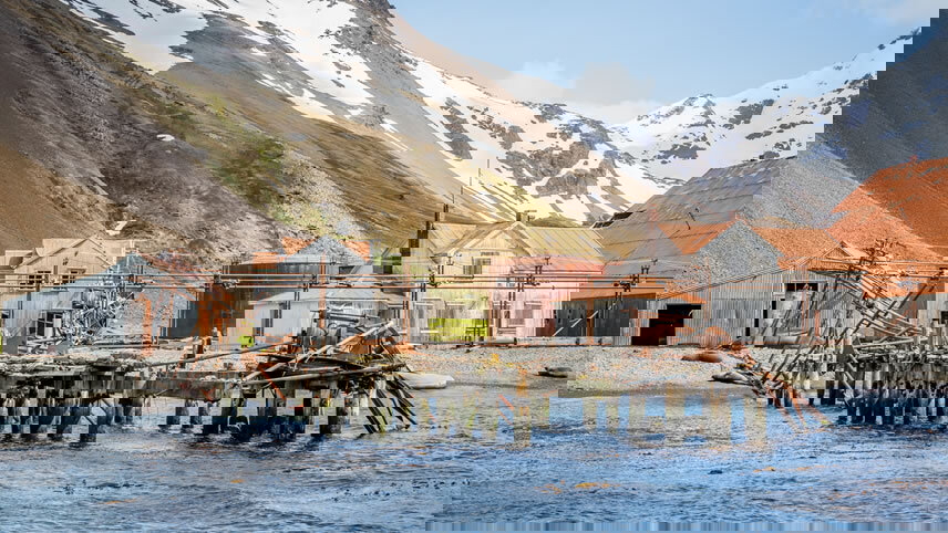 South Georgia Island