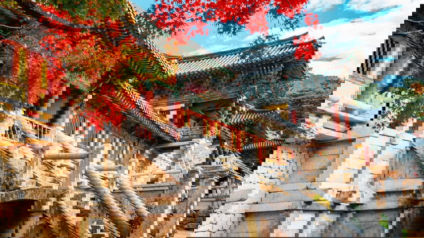 Solo-ish South Korea