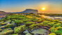 Jeju Island