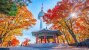 Seoul Tower