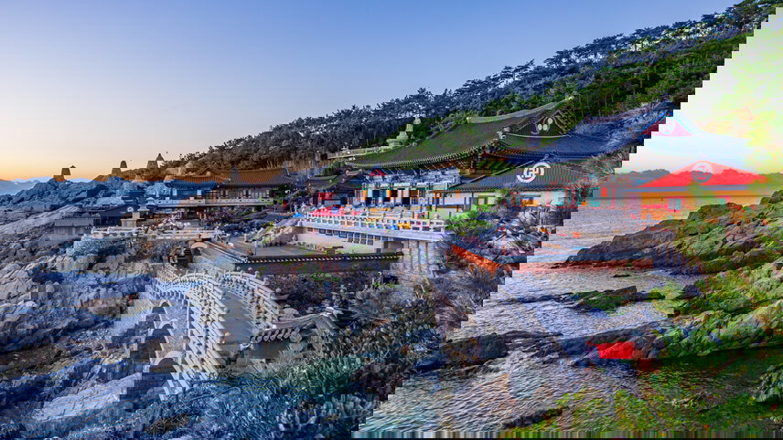 Walking Through Cherry Blossoms