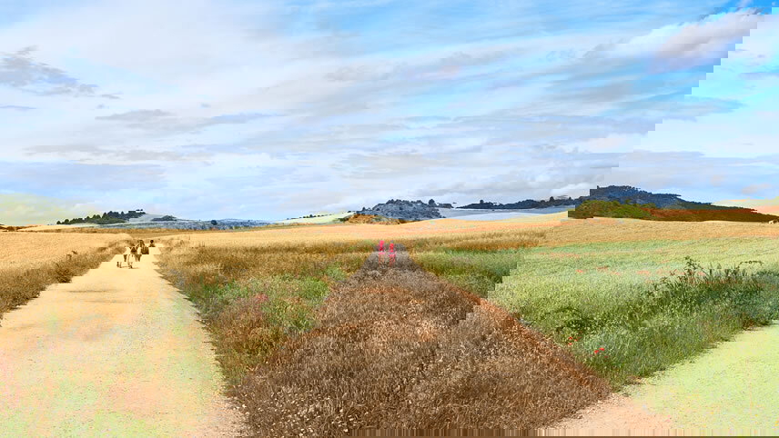 Walk the Camino de Santiago