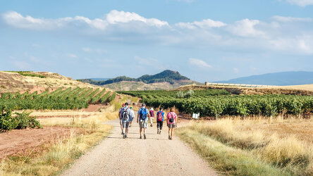 7 Day A Taste of the Camino: Porto to Bilbao (Back-Roads)