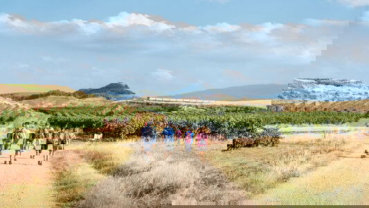 Walking & Hiking Tours