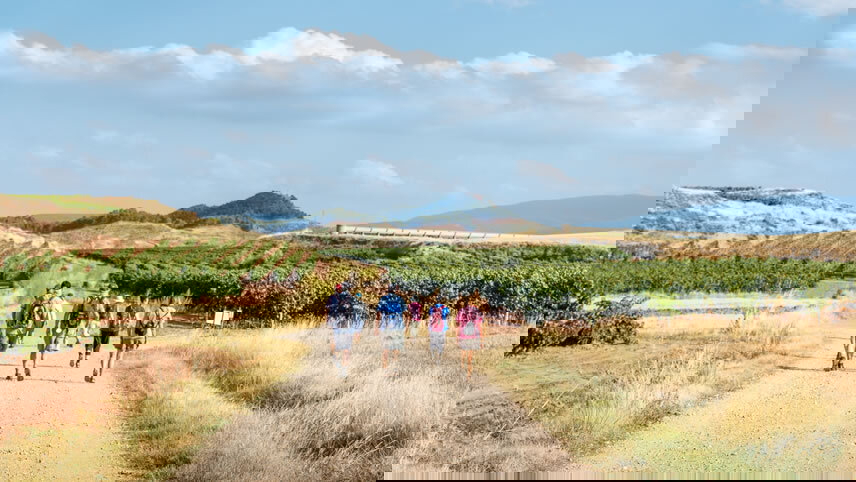 The Camino, a Walking Journey for the Soul