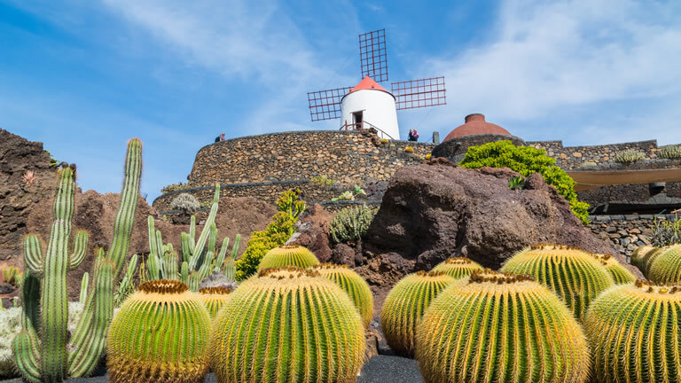 Volcanic Landscapes from Canary Islands to Cape Verde