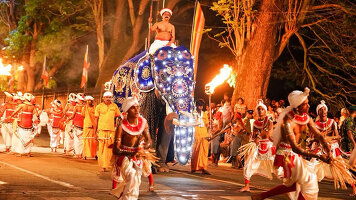 17 Day Sri Lankan Discovery - Kandy Festival (Bunnik Tours)