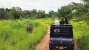 Minneriya National Park