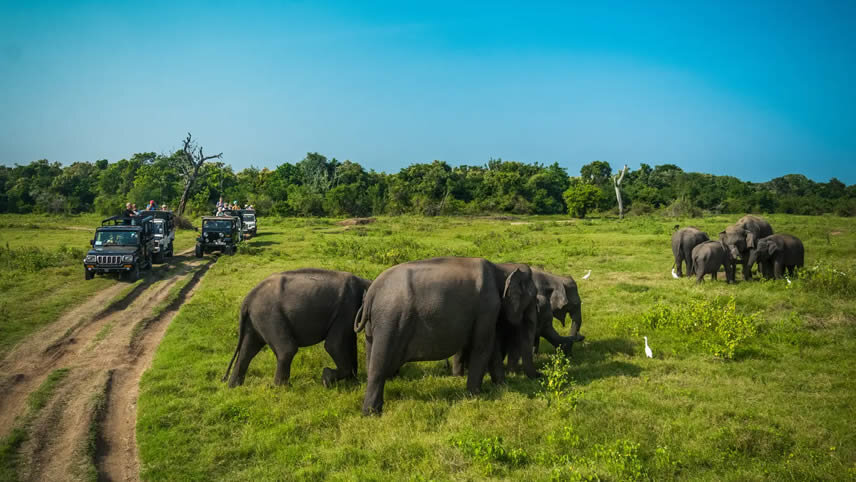 Luxury Lower Ganges River Cruise & Ultimate Sri Lanka