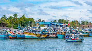 14 Day Highlights of Sri Lanka with Maldive Dhoni Cruise (East Coast) (Explore)