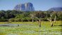 Yala National Park