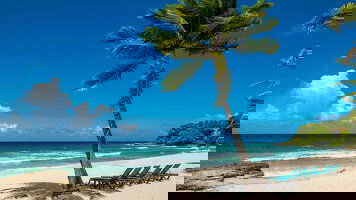 14 Day Caribbean Celebration (Cunard)