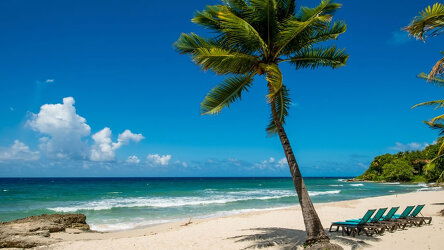 8 Day Southern Caribbean with Barbados and St. Kitts (Princess)