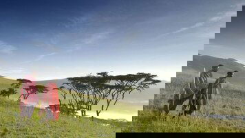 11 Day On Safari in Kenya & Tanzania (Cosmos)