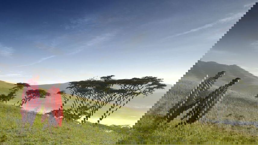 On Safari in Kenya & Tanzania with Nairobi