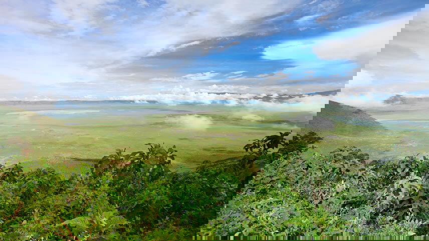 Tanzania Private Safari