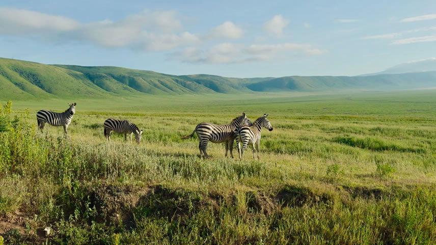 Ngorongoro, Tanzania