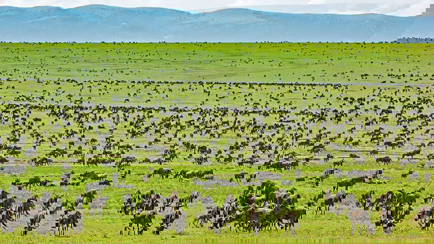 Tanzania: A Grand Family Safari