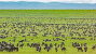 Serengeti National Park
