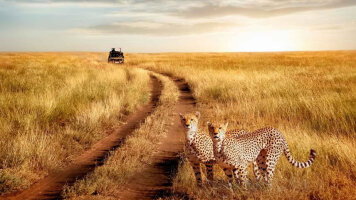 4WD Tours & Overland Adventures Trips