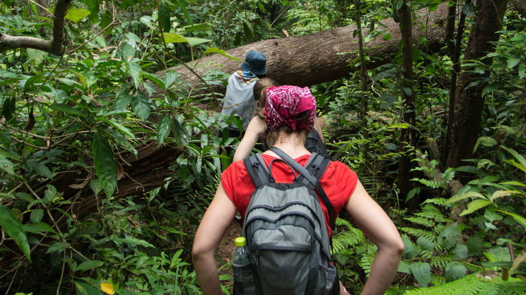 Hiking through the jungle, Thailand Hiking through the jungle, Thailand