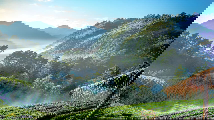 Northern Thai Highlights